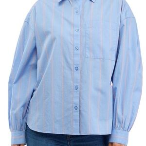 Wonderly Light Blue & Pink Stripe Button-Up